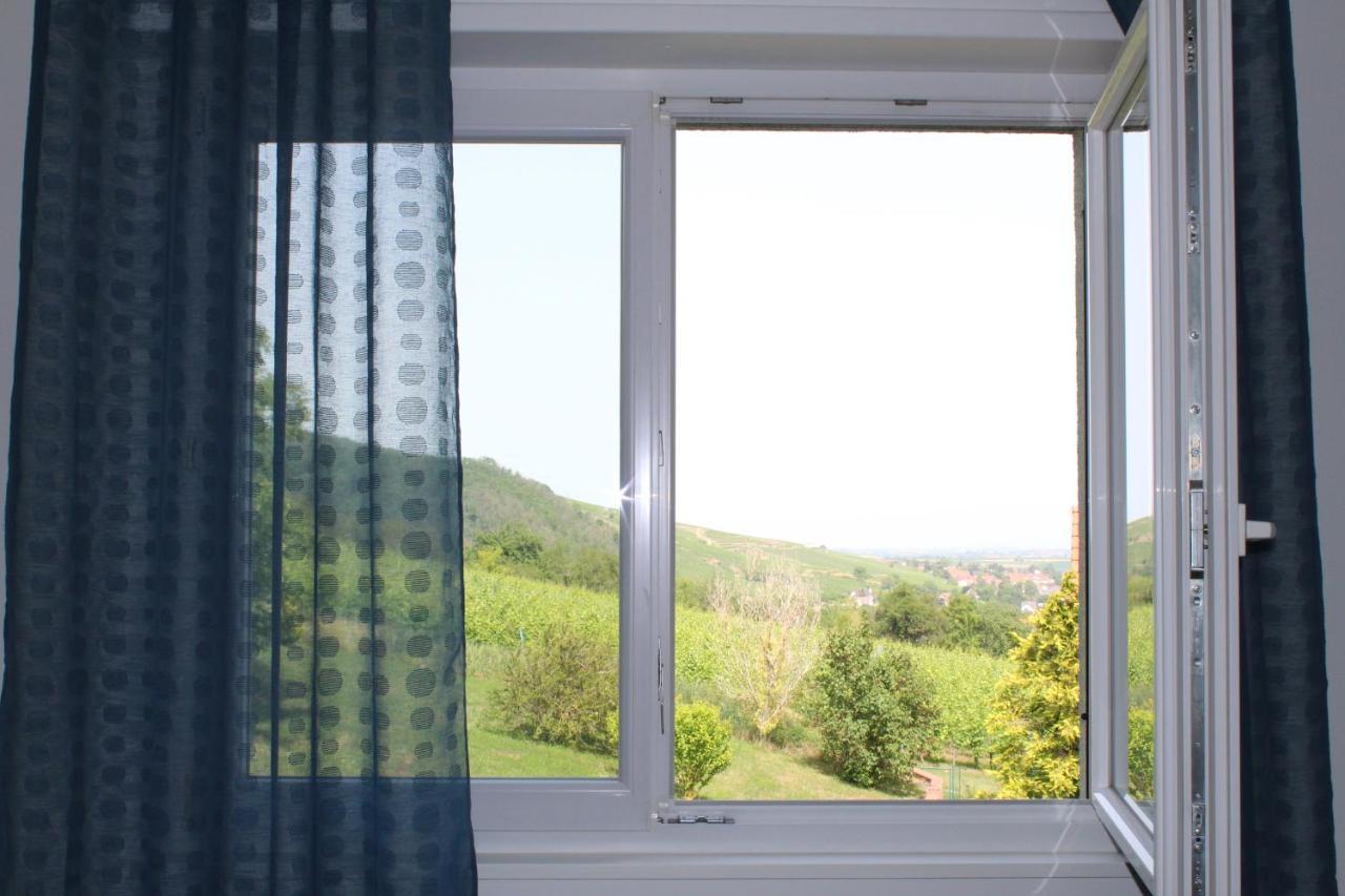 A L'Oree Des Vignes, Superbe Logement De 80 M2 Wangen Exterior photo