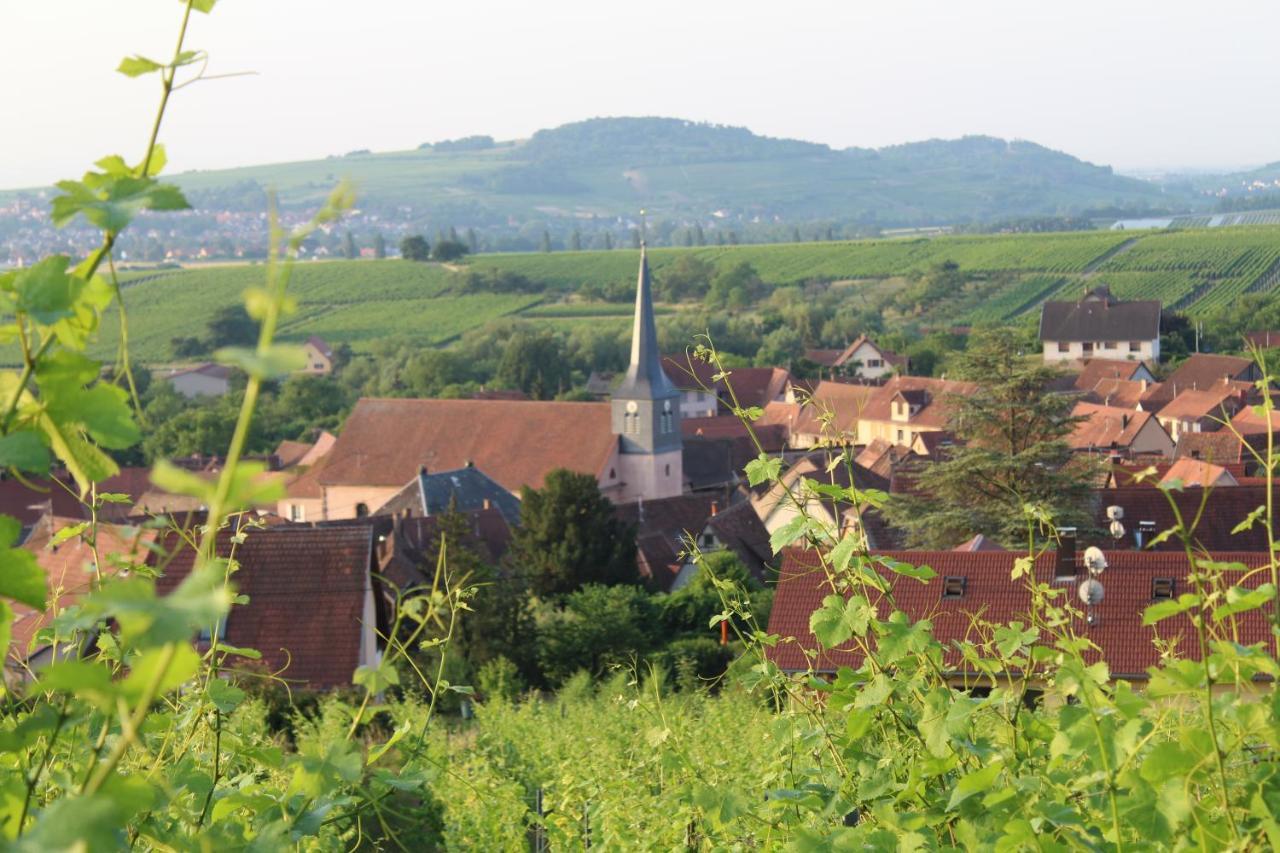 A L'Oree Des Vignes, Superbe Logement De 80 M2 Wangen Exterior photo