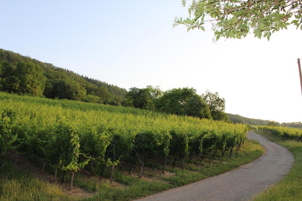 A L'Oree Des Vignes, Superbe Logement De 80 M2 Wangen Exterior photo